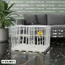 Bird Cage | C01A/603