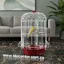 Bird Cage | 330W