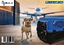 Dog Carrier |SER01| Turkey