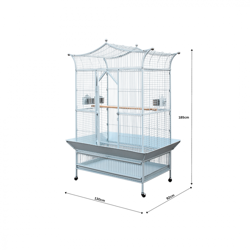 Parrot Cage | A42