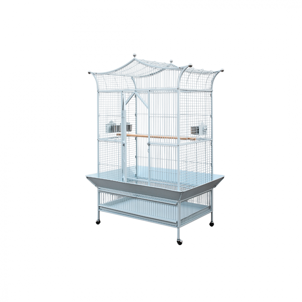 Parrot Cage | A42