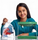 Fish Aquarium | TR200