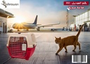 Cat Carrier | 082 | Syrian