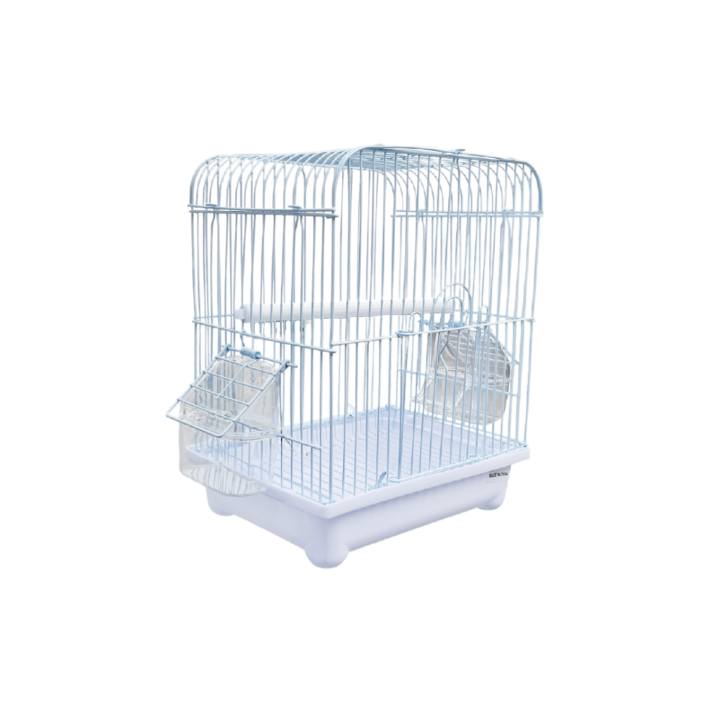 Bird Cage | A1102 (155)