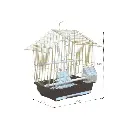 Bird Cage | A101G