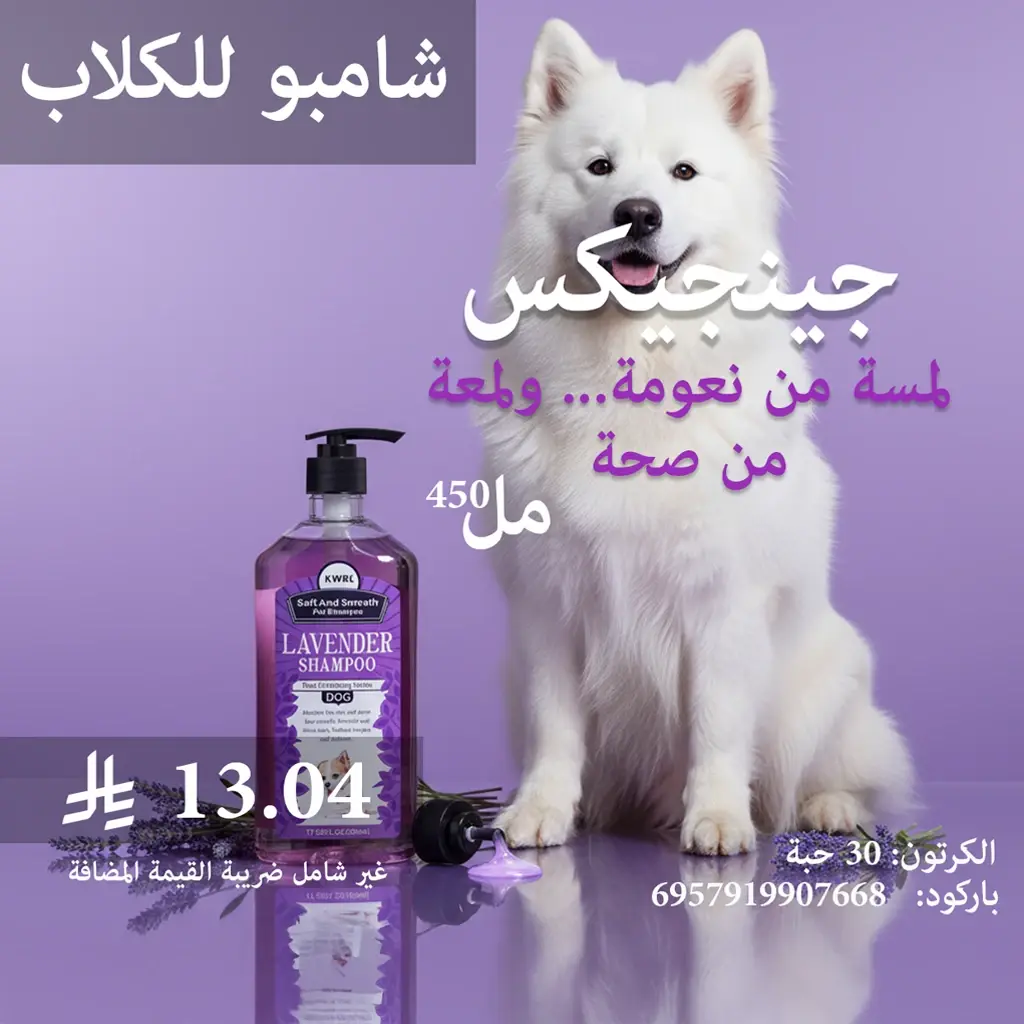 DOG3.webp