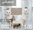 DEG .webp
