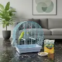Bird Cage | MB2106
