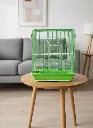  Bird Cage | A3109