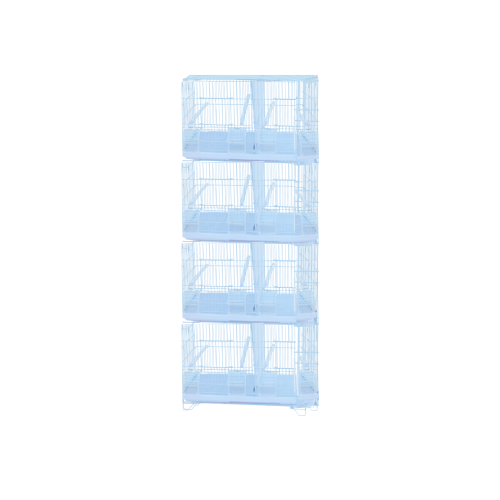 Bird Cage |  503