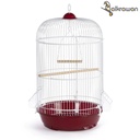 Bird Cage | 330W