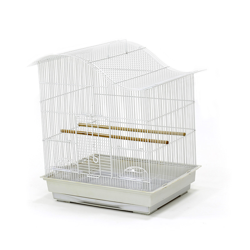 Bird Cage | 613