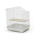 Bird Cage | 613