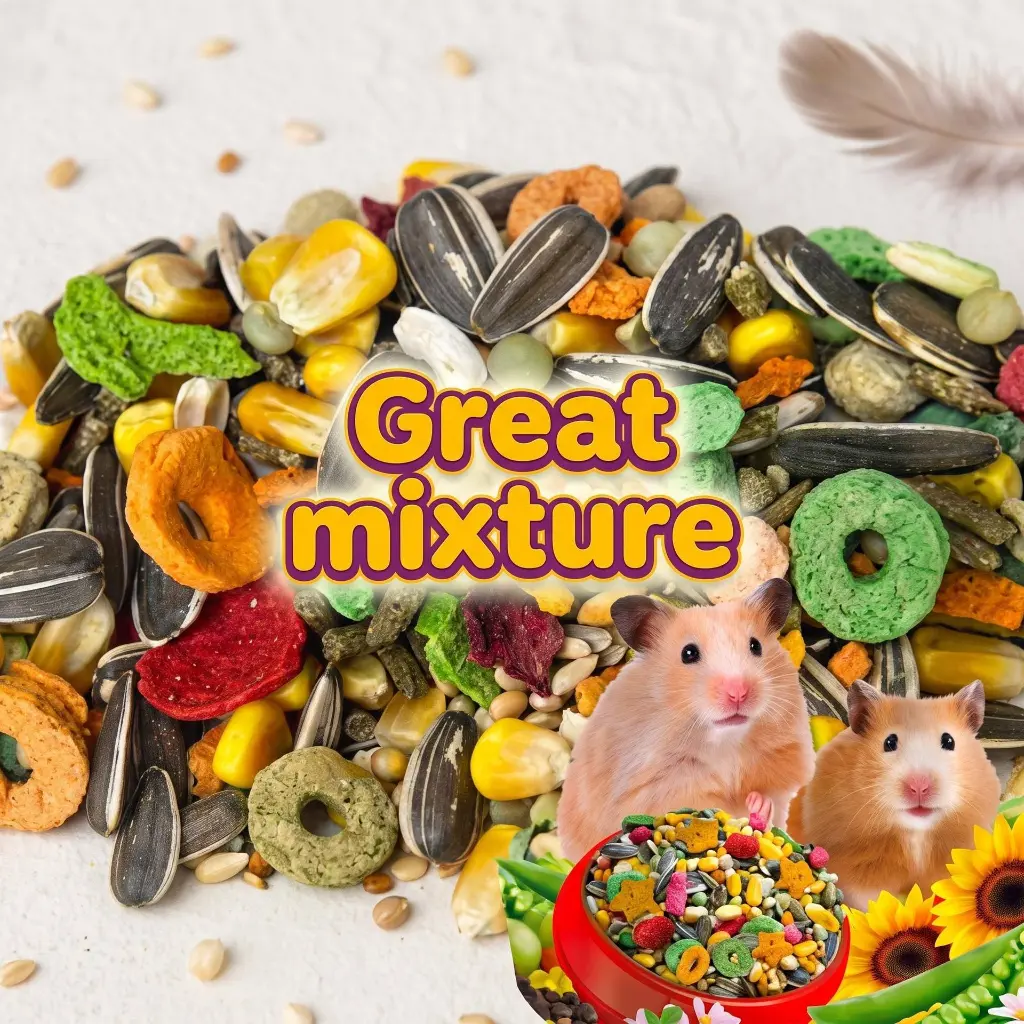 Kiki _ Max Menu  Hamster.webp