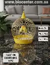 Bird Cage | C405G