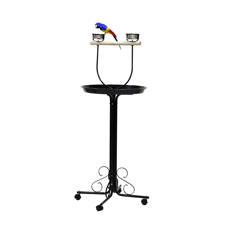 Parrot Stand | E10