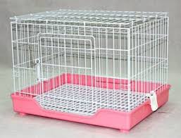 Cat Cage | R11