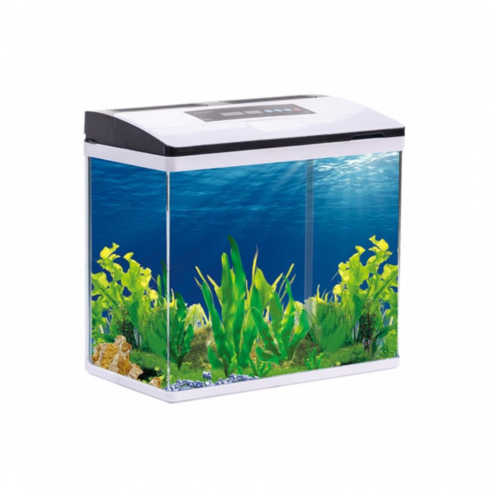Fish Aquarium | AF465