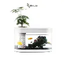 حوض اسماك بتصميم هندسي من اكوابونيكس، نظام بيئي متكامل صغير