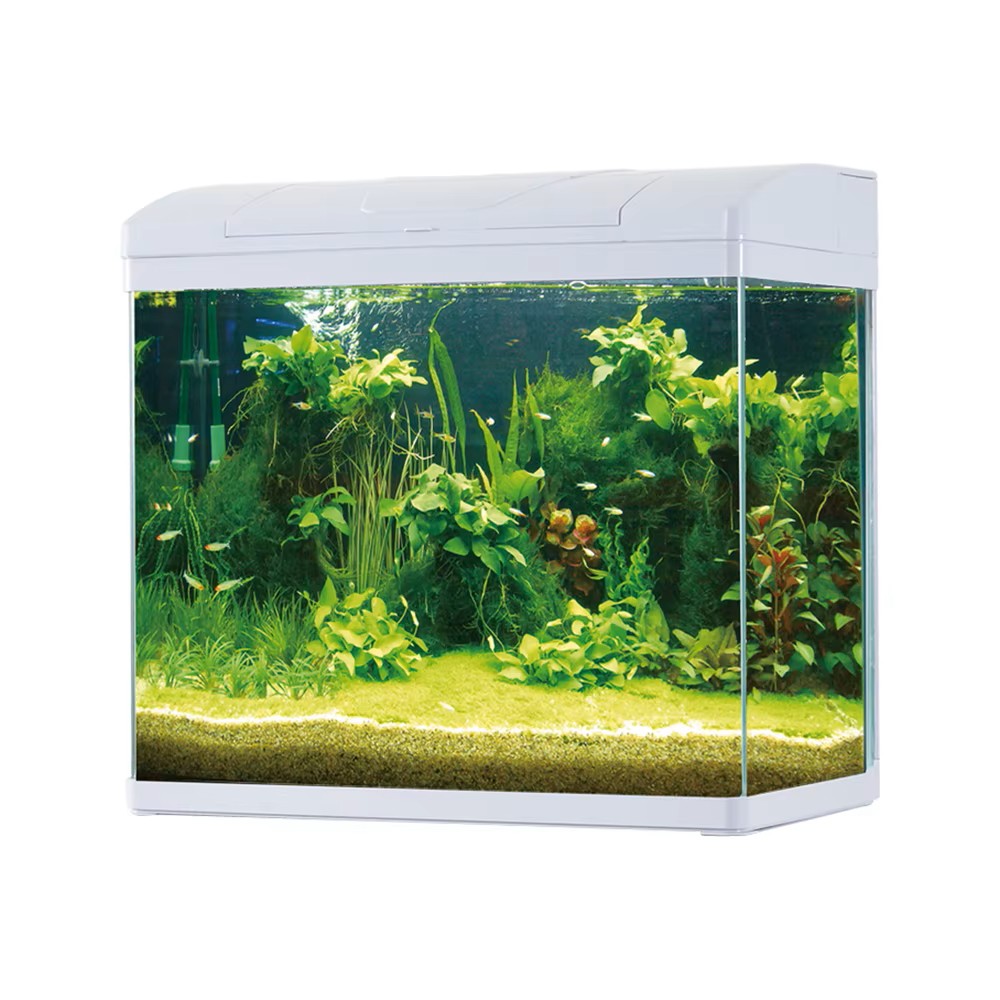 Perfect | Fish Aquarium | PF625