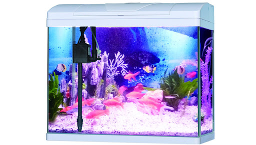  Perfect | Fish Aquarium | PF825