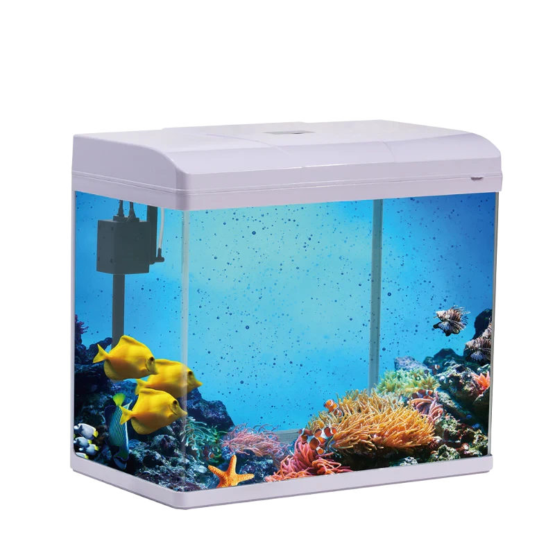 Pufeit | Fish Aquarium | PF825