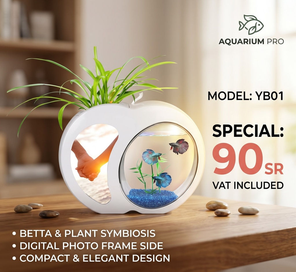 Modern Fish Aquarium. 