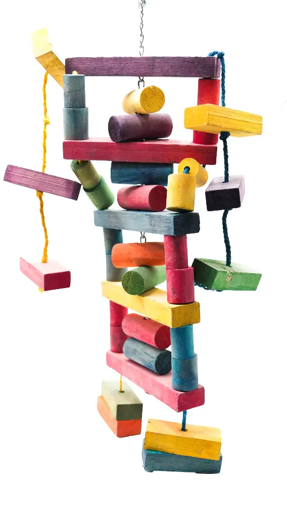 LBW0253 | لعبة الببغاء