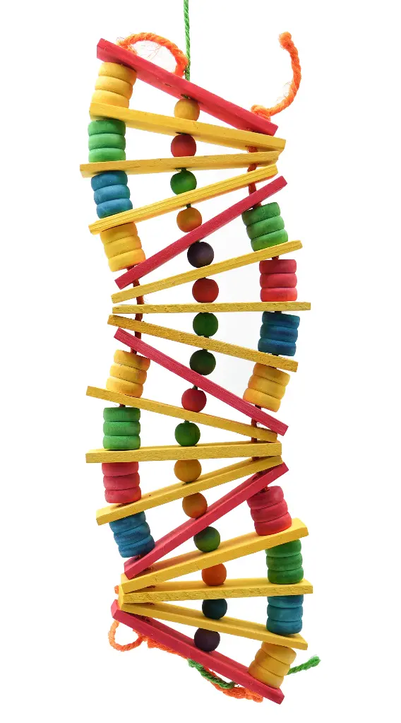 Parrot Wood Toys