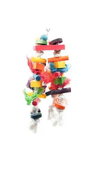 Parrot Wood Toys