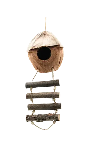 Parrot Wood Toys