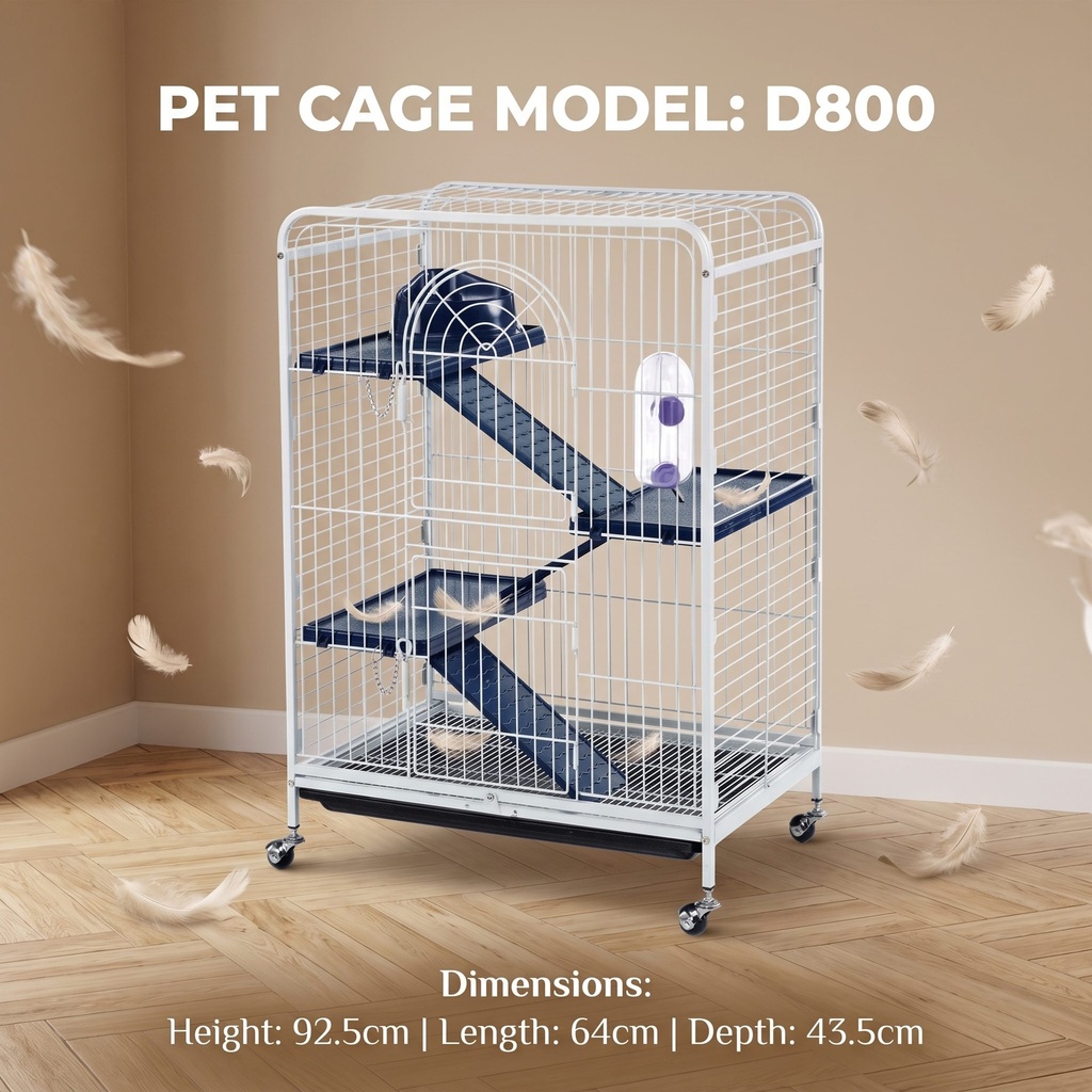 Bird Cage | D800
