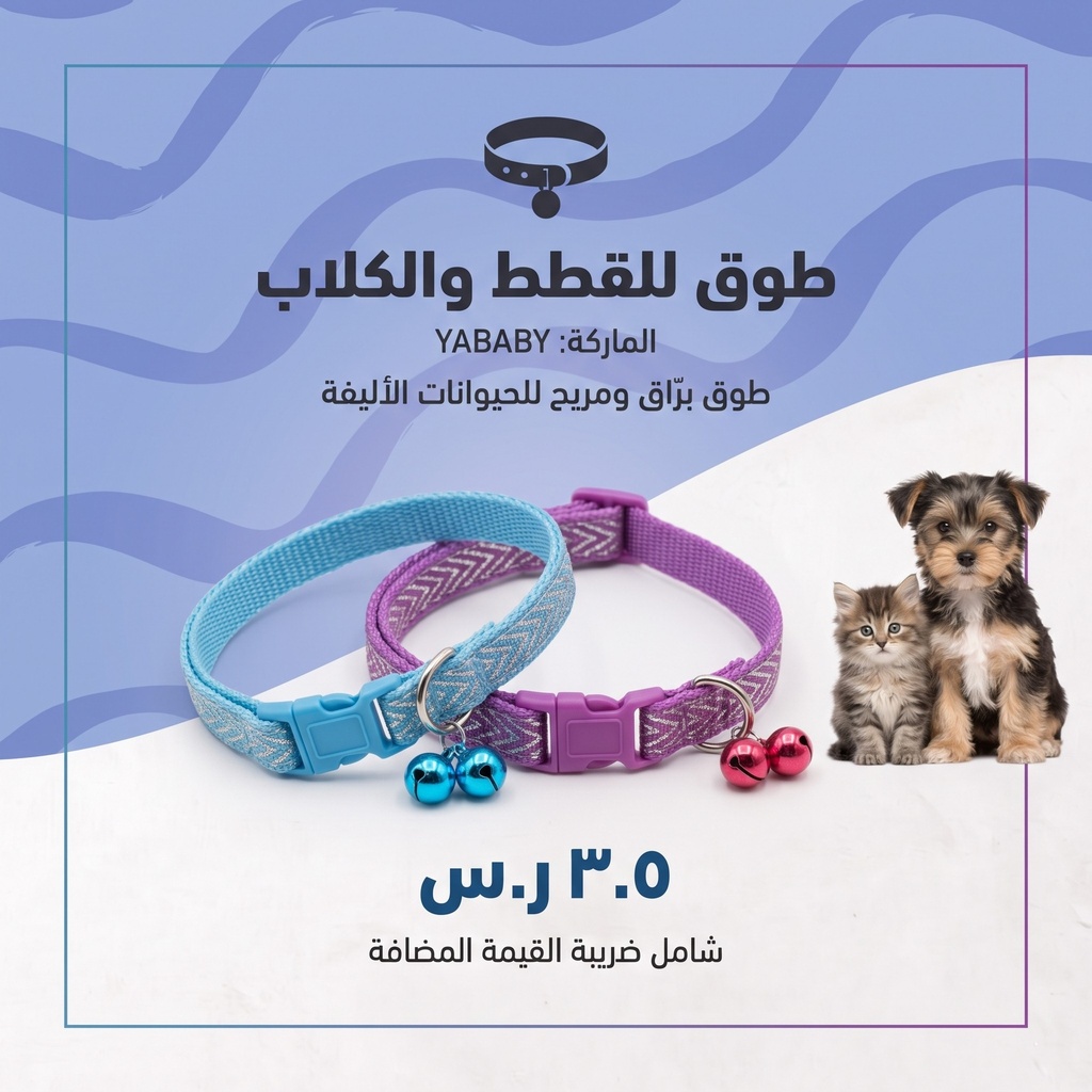 طوق القط