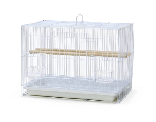 Bird Cage | 600