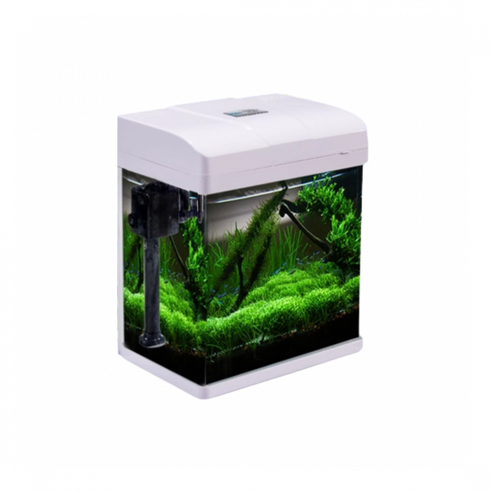 Pufeit | Fish Aquarium | PF285
