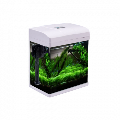  Pufeit | Fish Aquarium | PF200