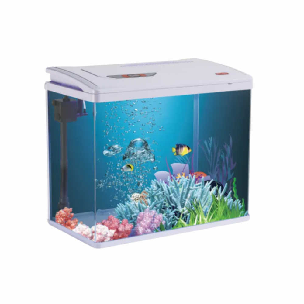 Pufeit | Fish Aquarium | PY480