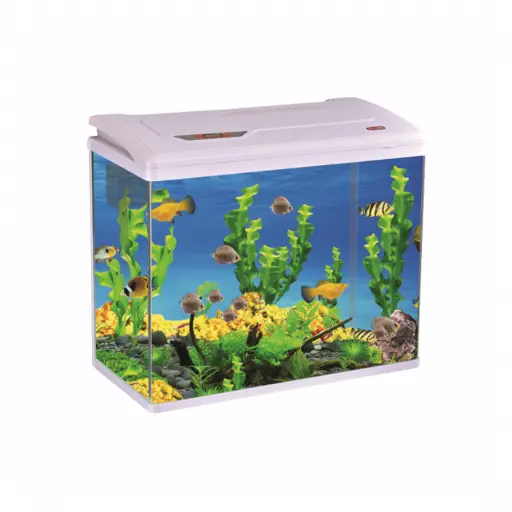 حوض سمك | PY580 