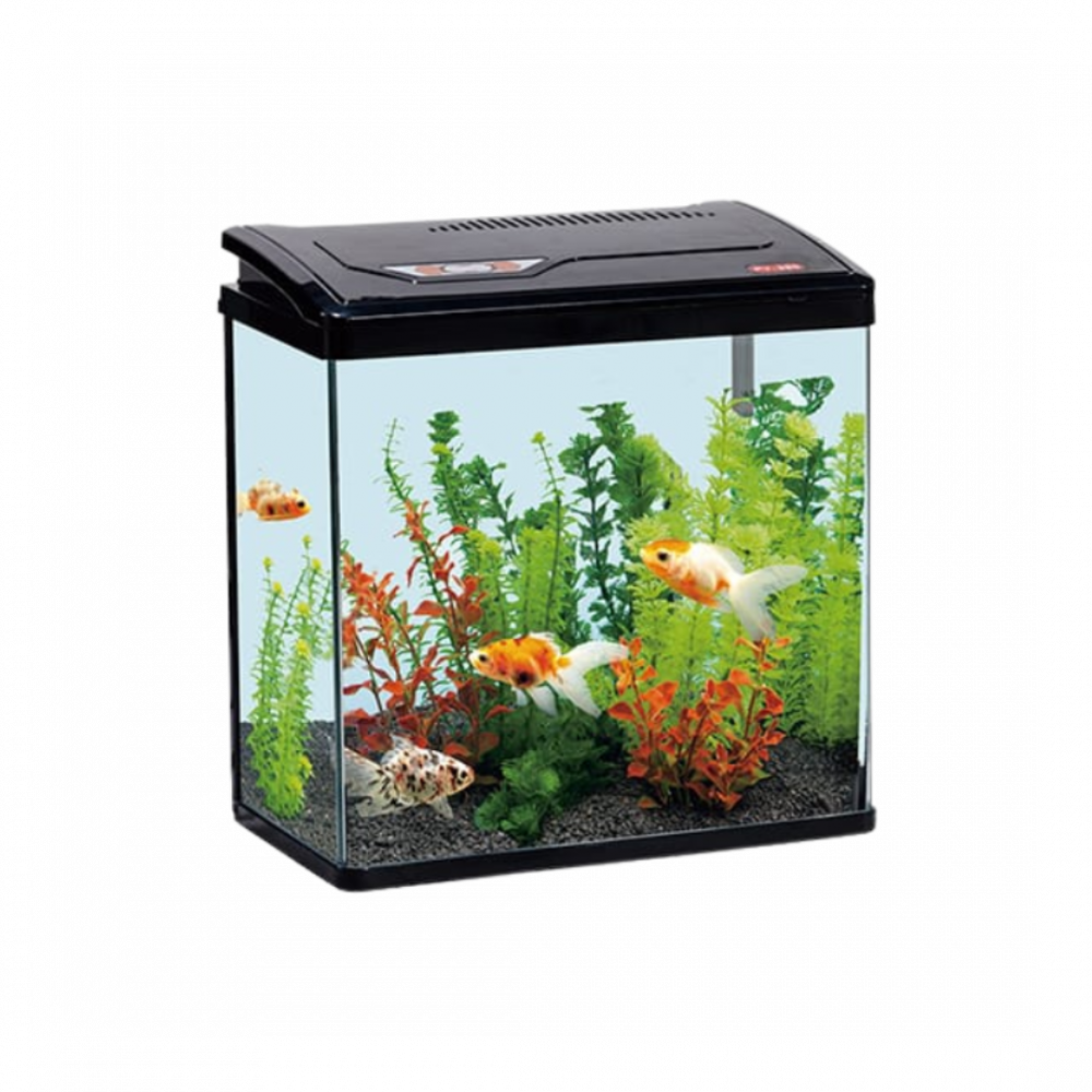 حوض السمك | PY380