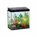 حوض السمك | PY380