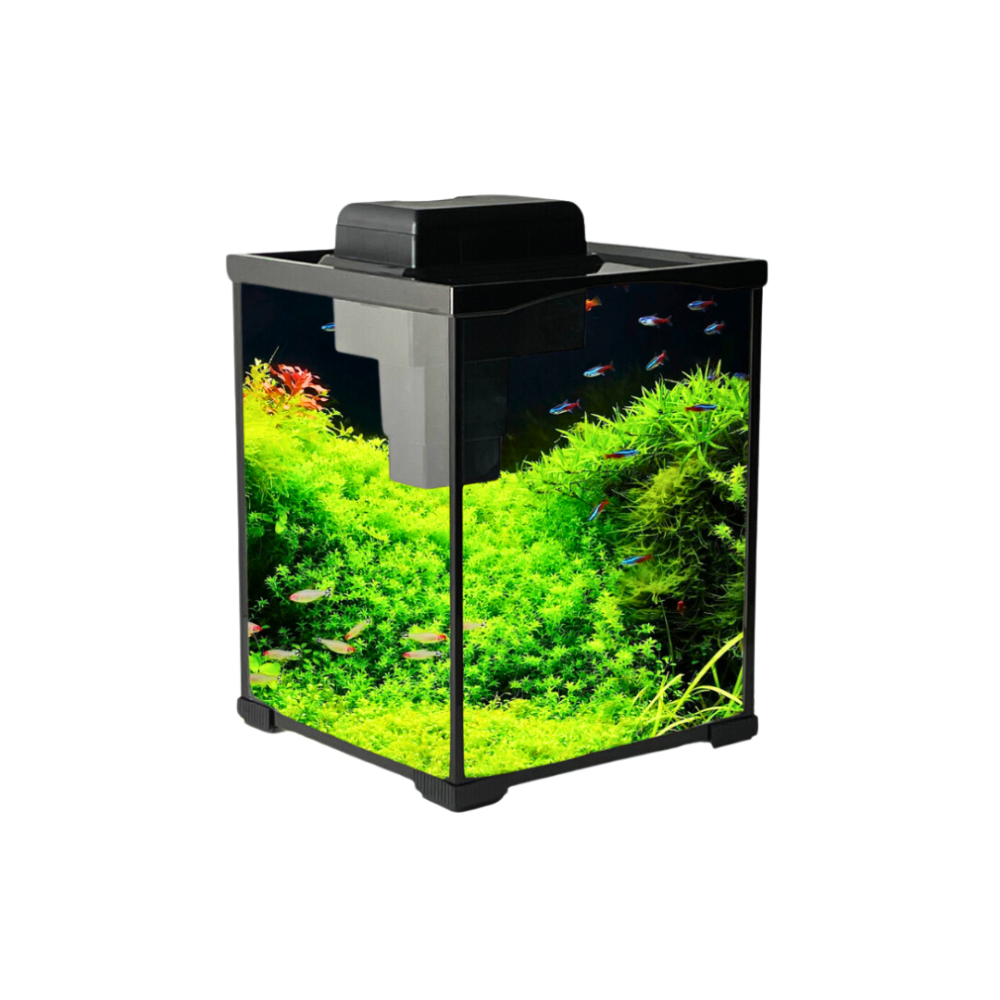  ليكوم | حوض السمك | XK200