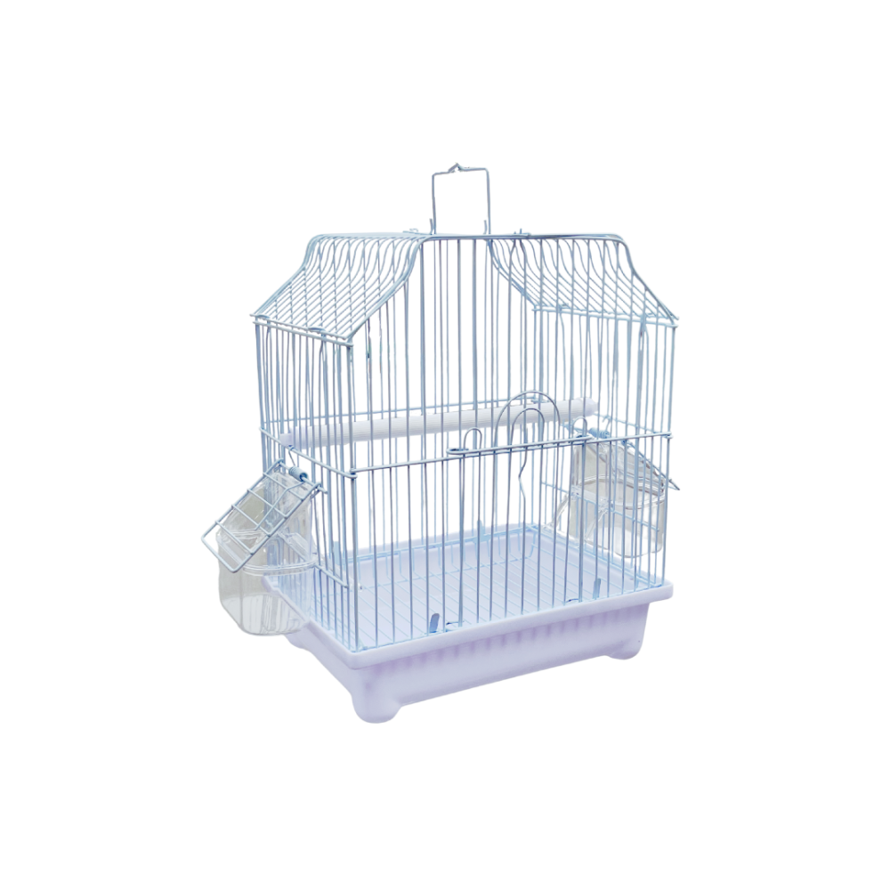  Bird Cage | A1101