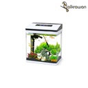 بيرفكت | حوض سمك | AF-245