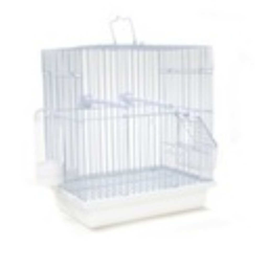 Bird Cage | 155            