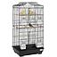 Bird Cage  | C4005            