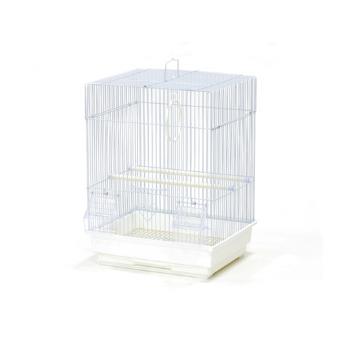 Bird Cage | A405