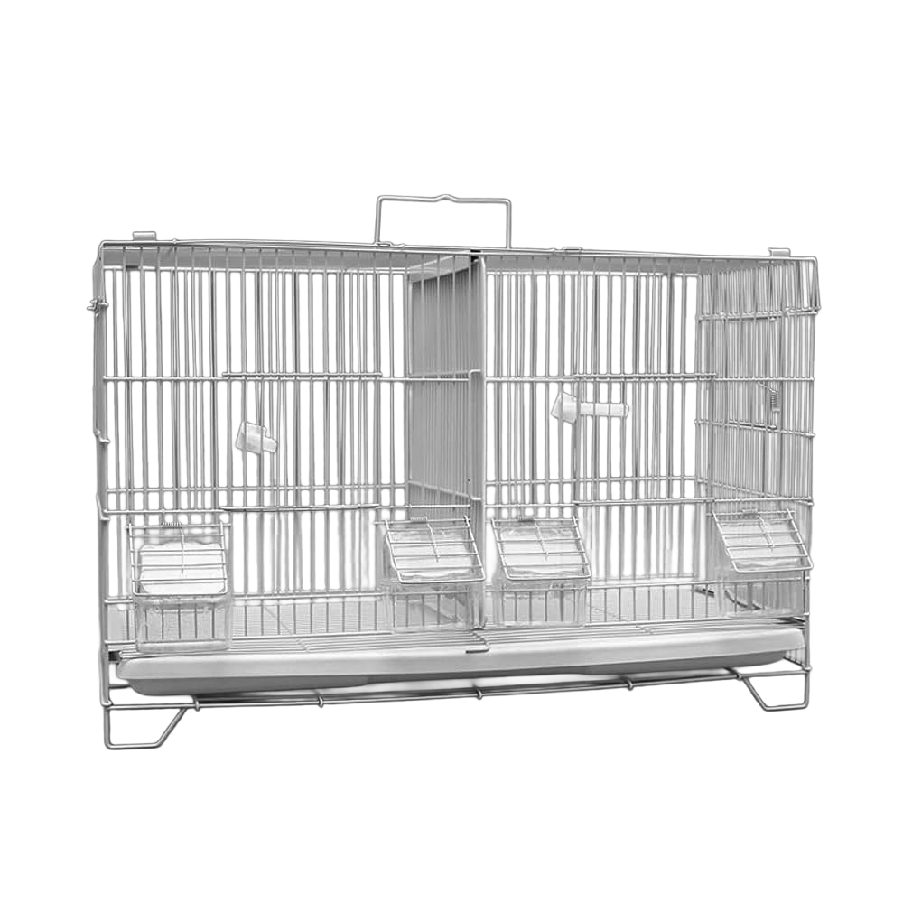 Bird Cage | A602-1