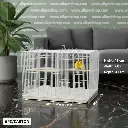  قفص الطيور  | 603