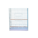 Bird Cage| D15