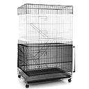 Bird Cage | D680